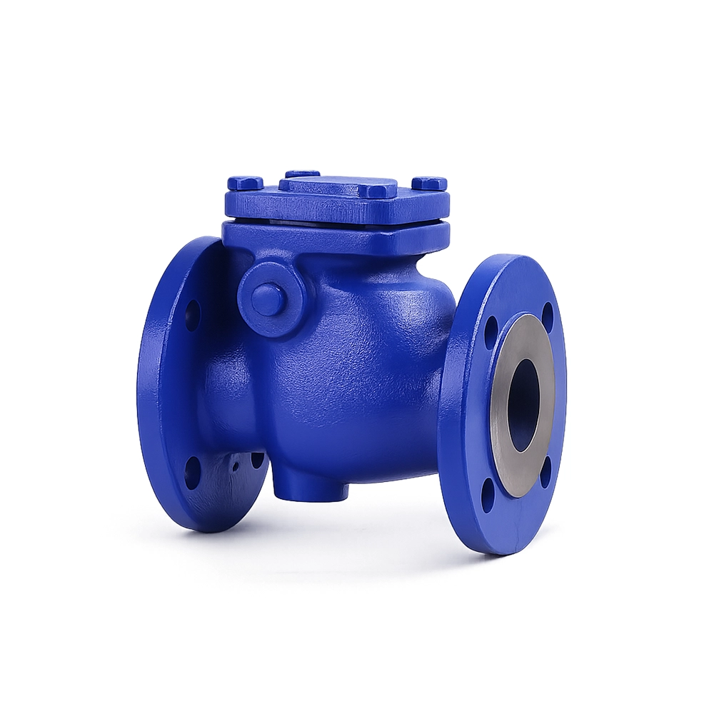 fgtr Válvula Retención Swing Check ZETKAMA 302A Fe/Inox PN16 Con Flange - Imagen 1