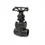 Válvula Compuerta A105/STL  800lbs Apernado NPT